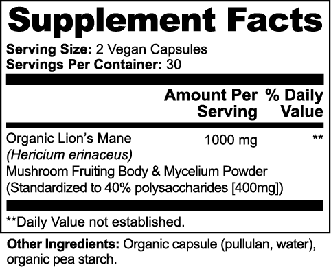 Lion’s Mane Brain Boost Extract